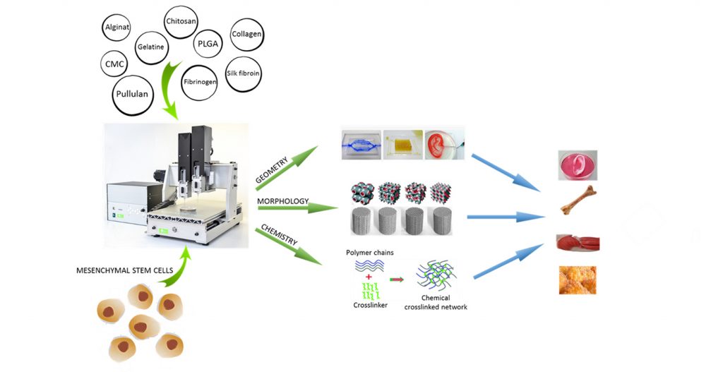 Slikovna prikazen procesa dela projekta. Različni biomaterjali in celice se skupaj zmešajo vnesejo v t3D tiskalnik in natiskajo celični tkivnih ogrodij ki se v prihodnosti lahko uporabljajo za človeška tkiva.